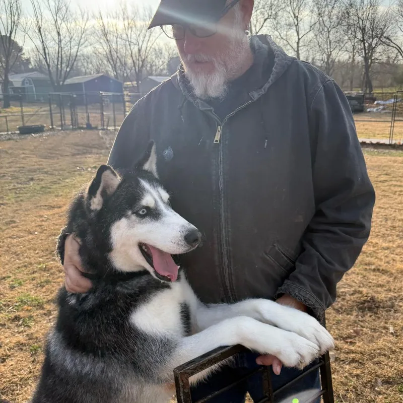 Kingston thumbnail 2