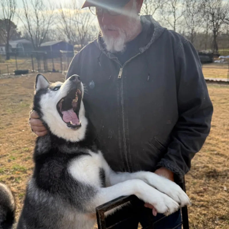 Kingston thumbnail 4