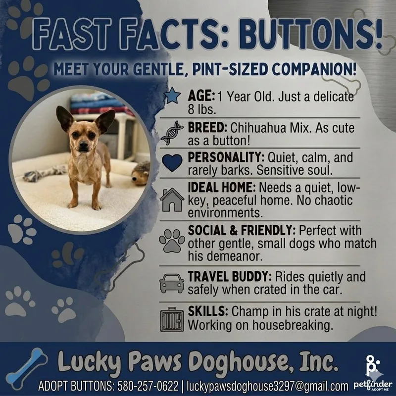 Buttons thumbnail 2
