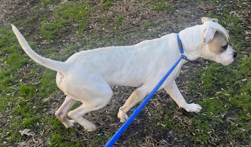 Frosty  Beautiful Young thumbnail 3