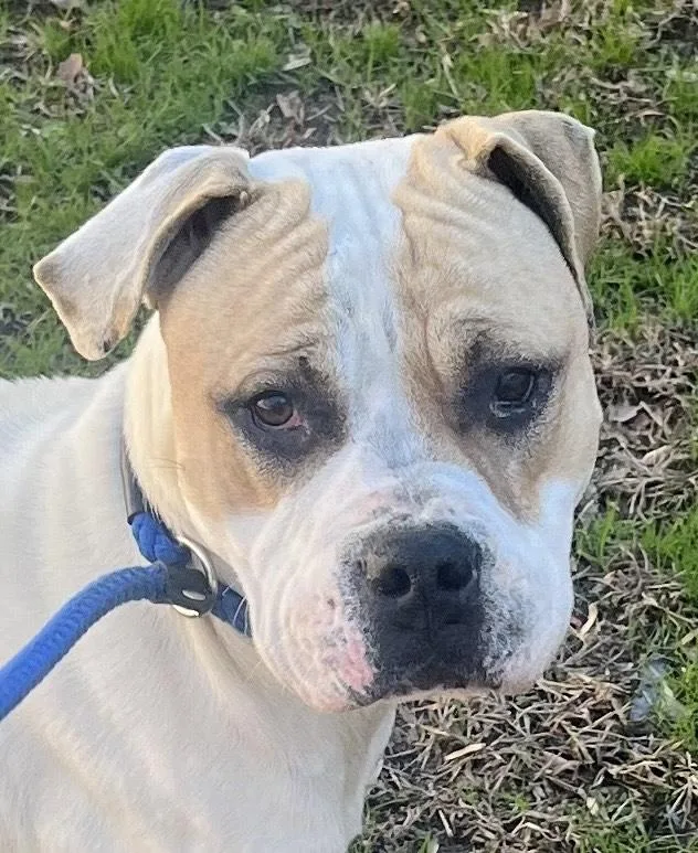 Frosty  Beautiful Young