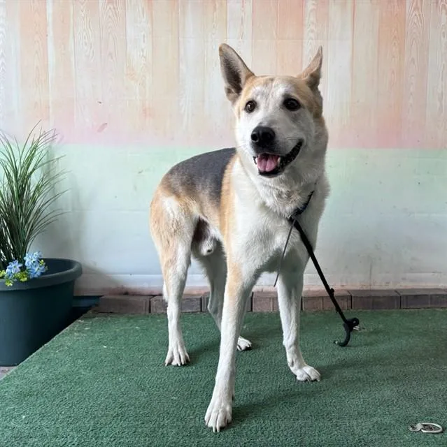 Max