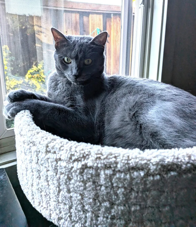 Dusty
