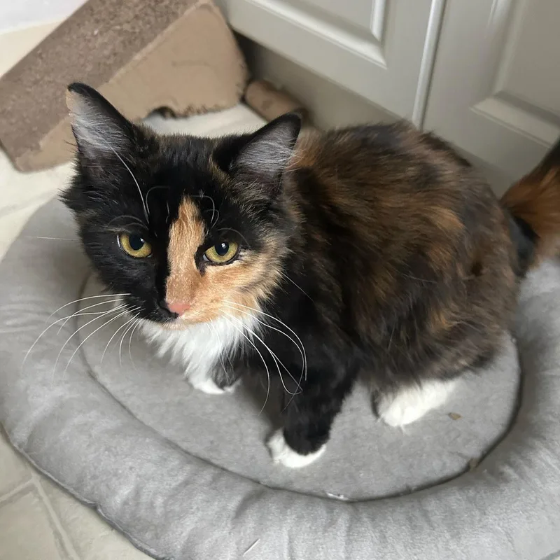 Mary Alice thumbnail 2