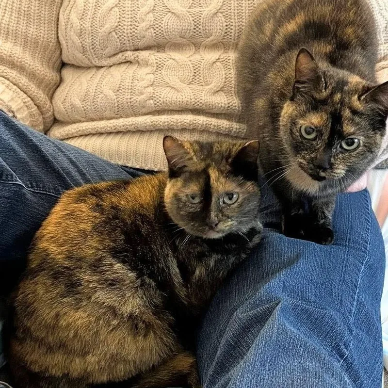 Tess and Zoey thumbnail 5