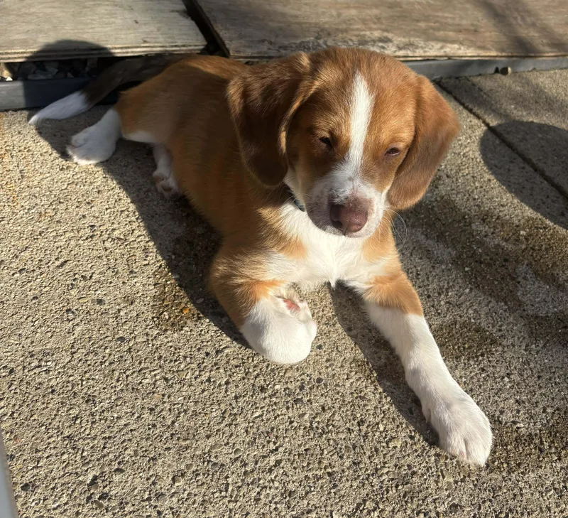 Mr. Glittercakes thumbnail 2