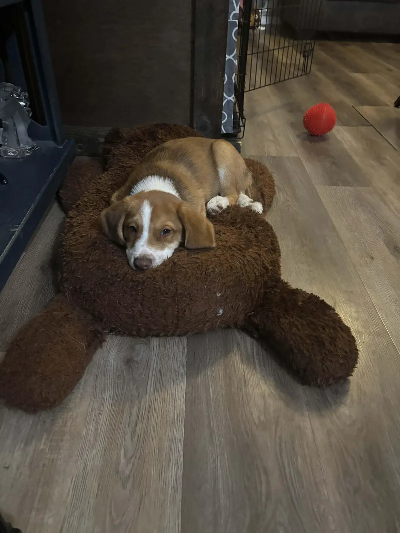 Mr. Glittercakes thumbnail 3