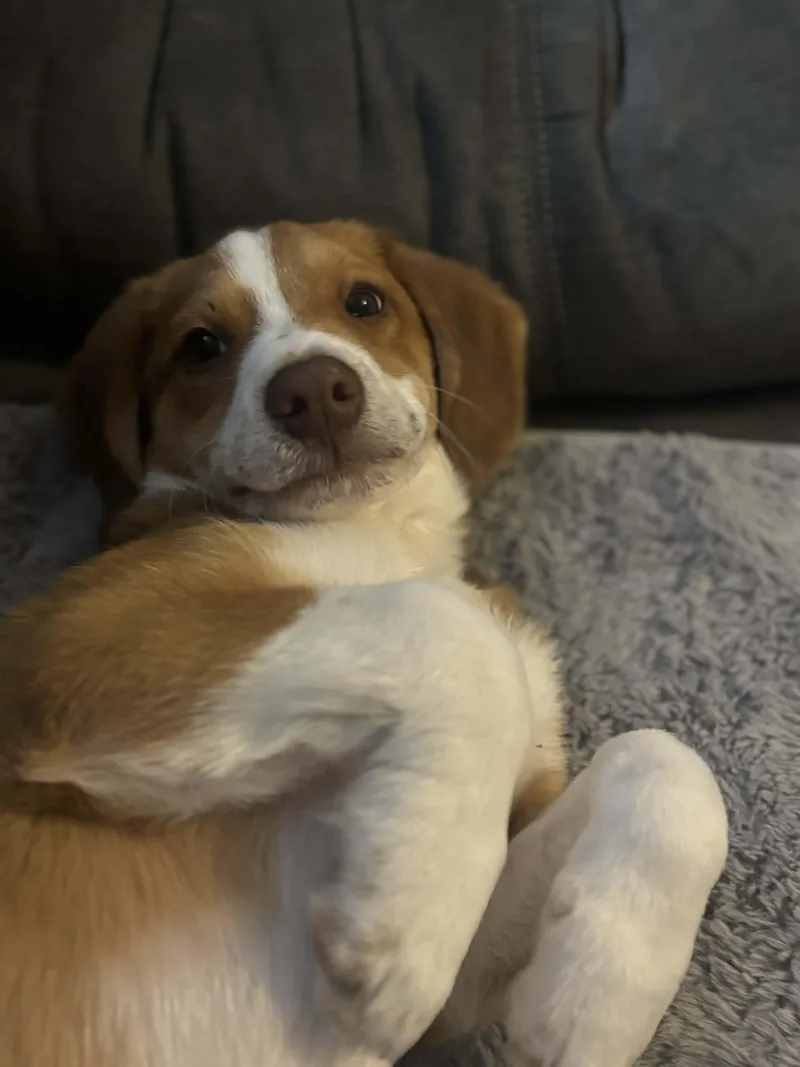 Mr. Glittercakes thumbnail 5