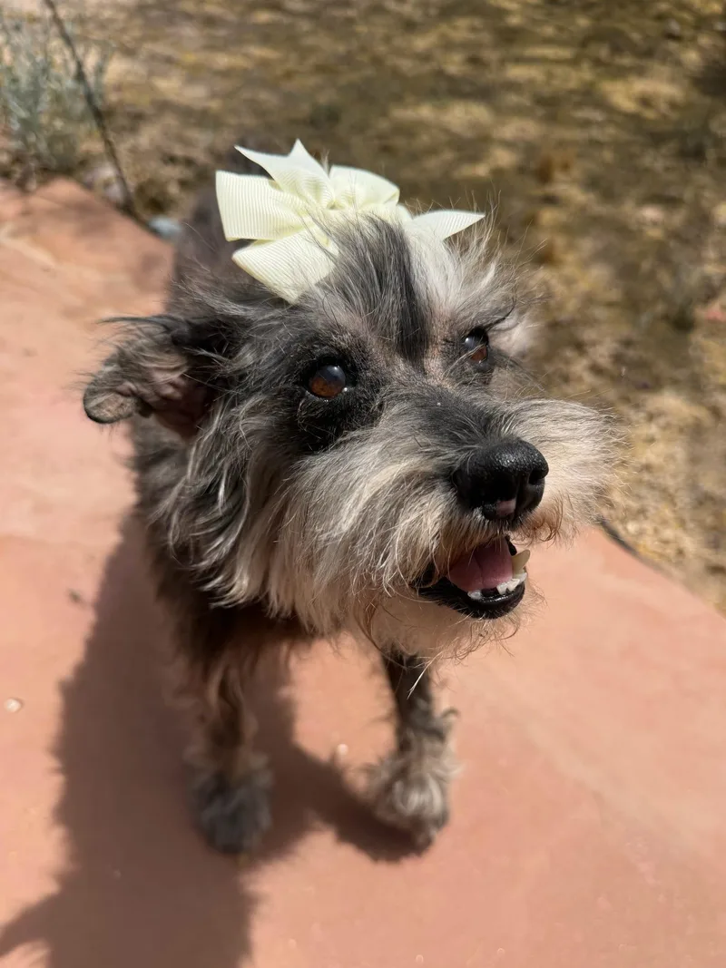 Trudy 🎀 thumbnail 2