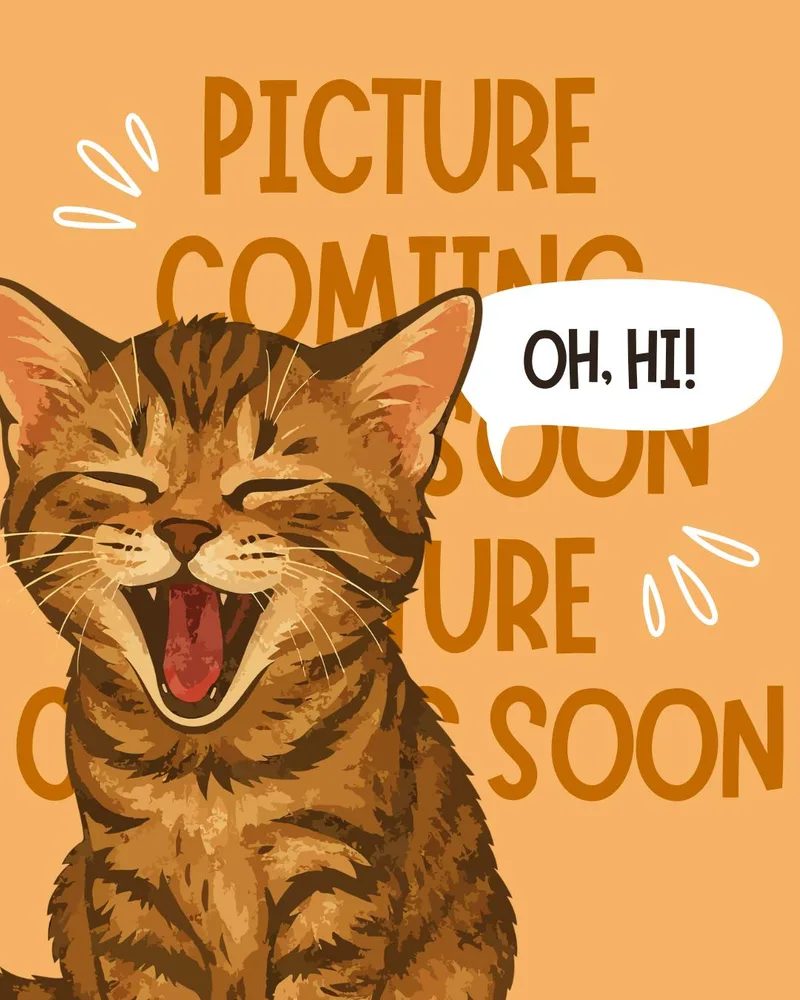 A baby small-sized female Tabby (Brown / Chocolate) Domestic Short Hair cat named Pencil for adoption in Collierville, TN