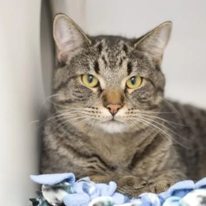 Kimberly thumbnail 2