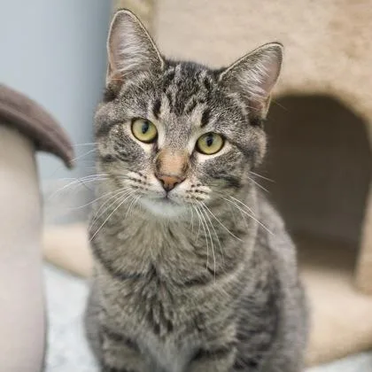 Kimberly thumbnail 3