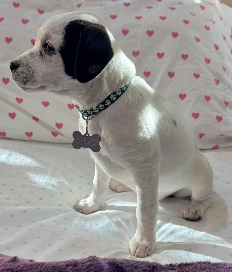 Nebraska thumbnail 2