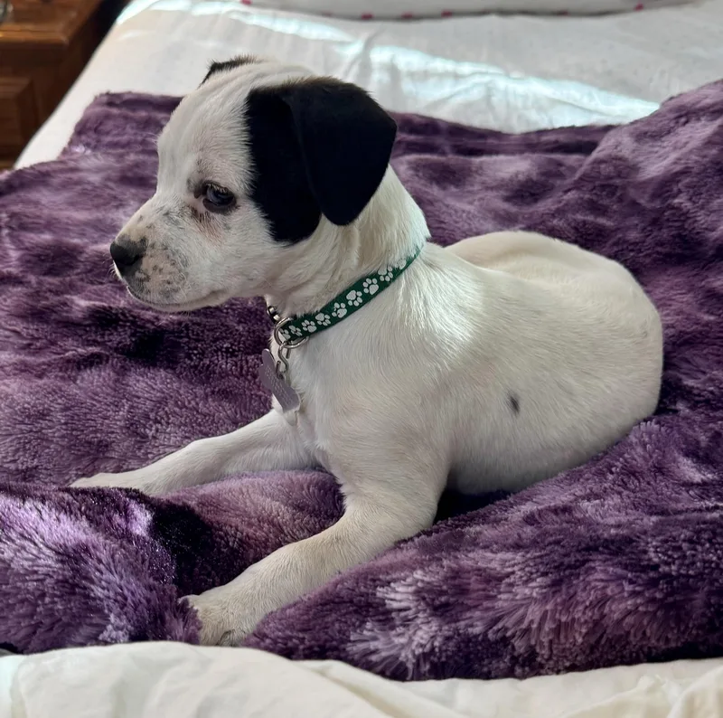 Nebraska thumbnail 3