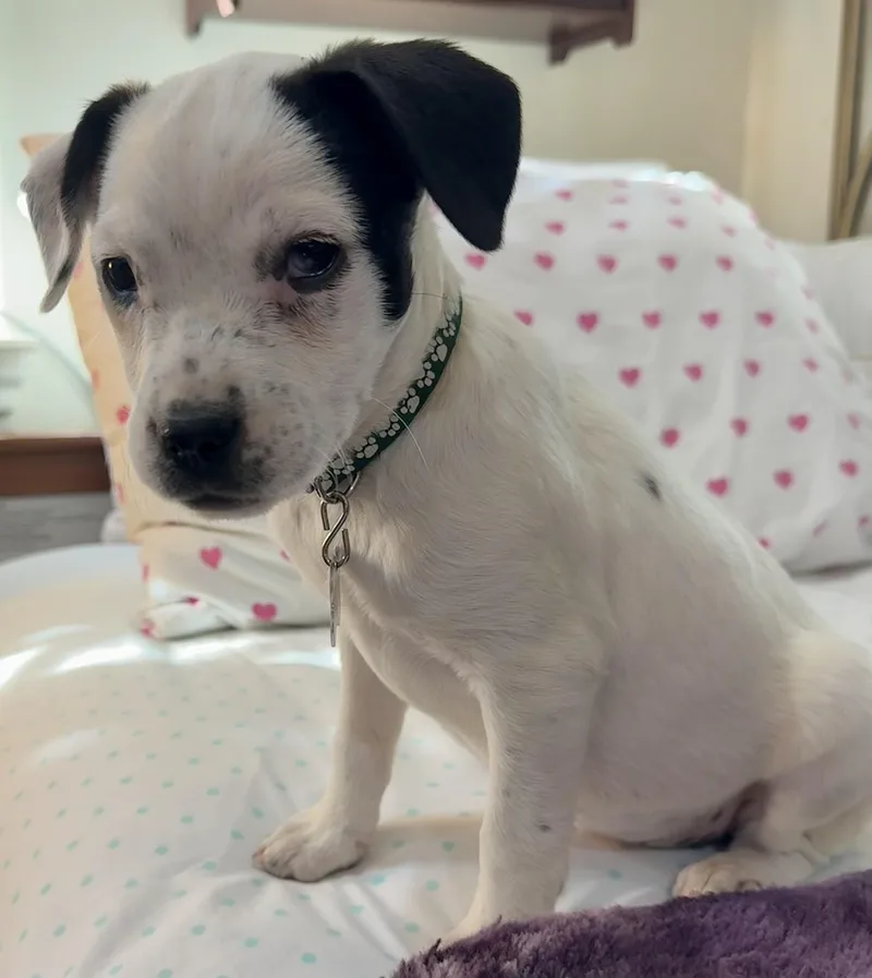 Nebraska thumbnail 4