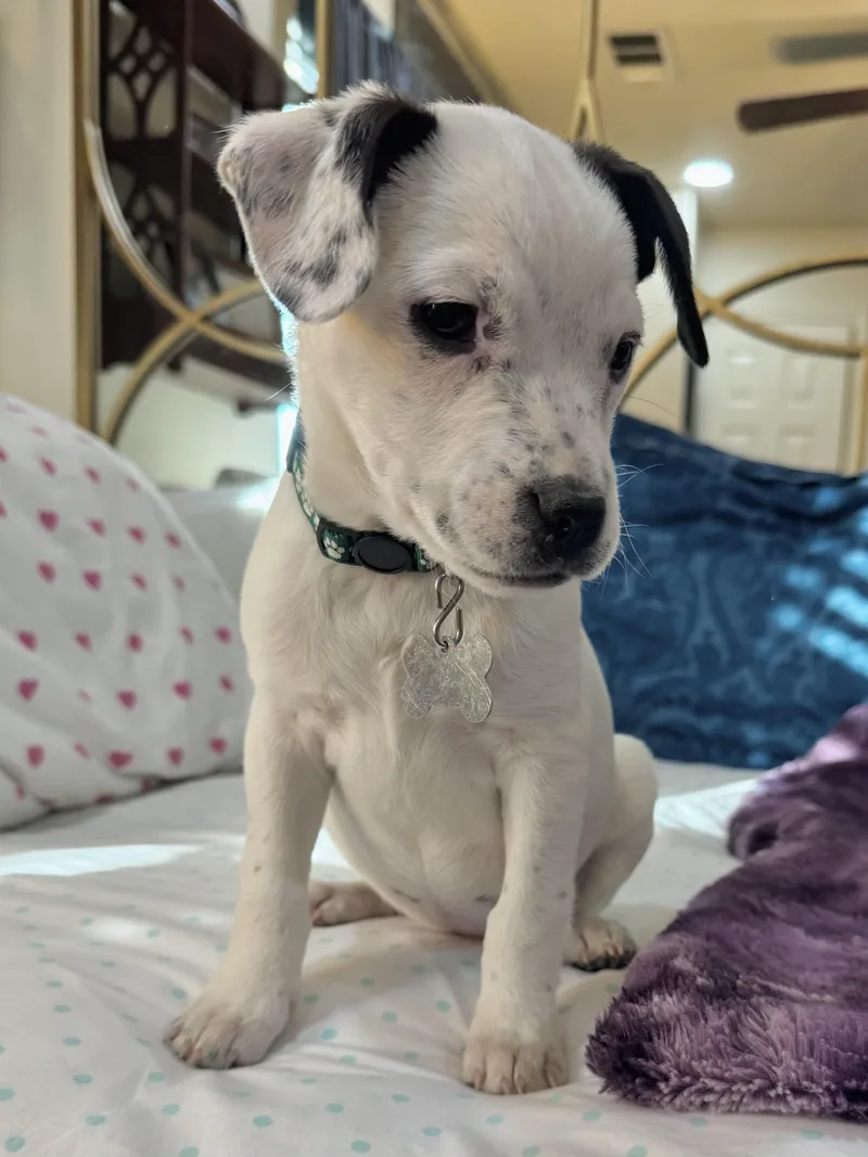 Nebraska thumbnail 5