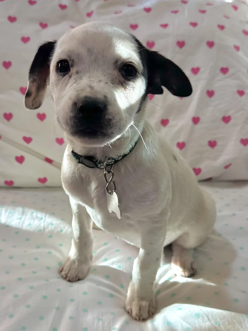 Nebraska thumbnail 6