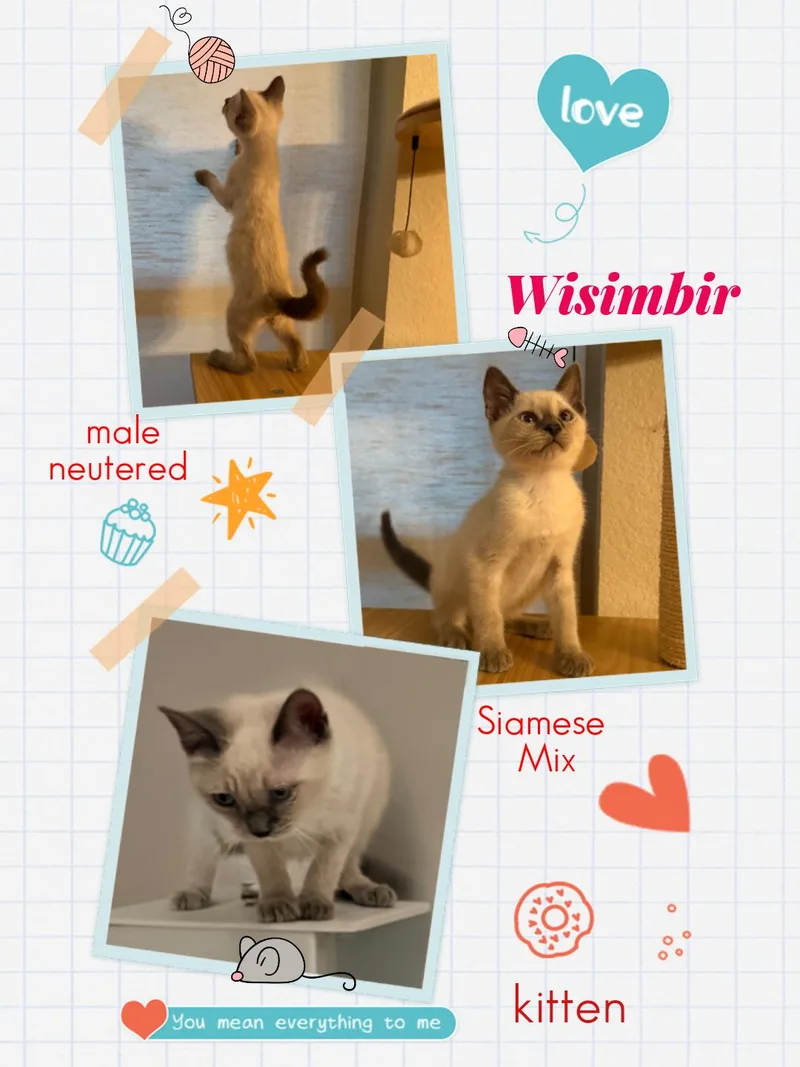 Wisimbir Ort thumbnail 4