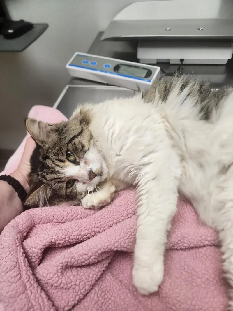 Templeton thumbnail 3