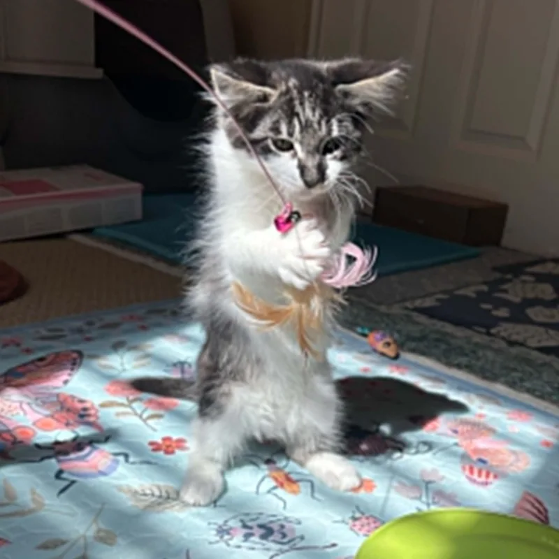 Barbara
