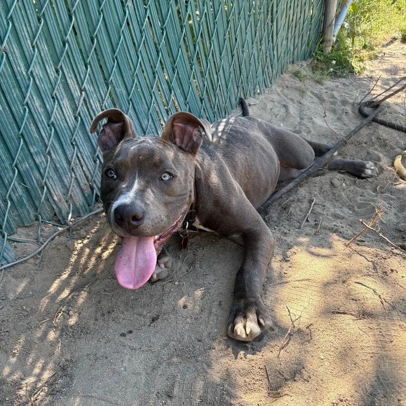 Benny