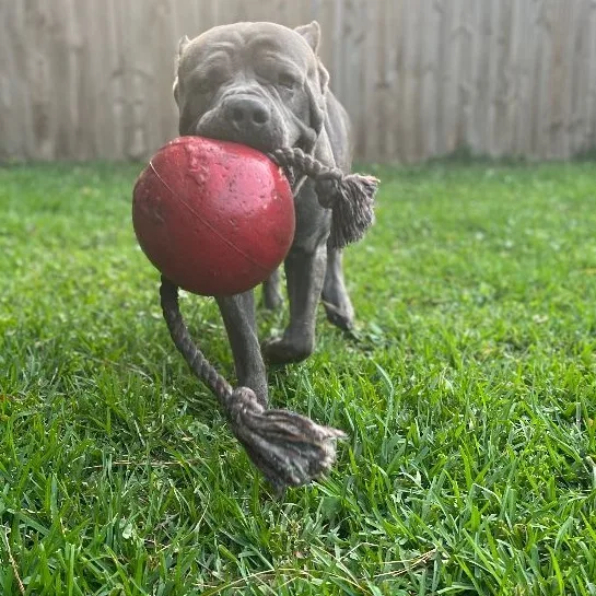 Cleveland thumbnail 5