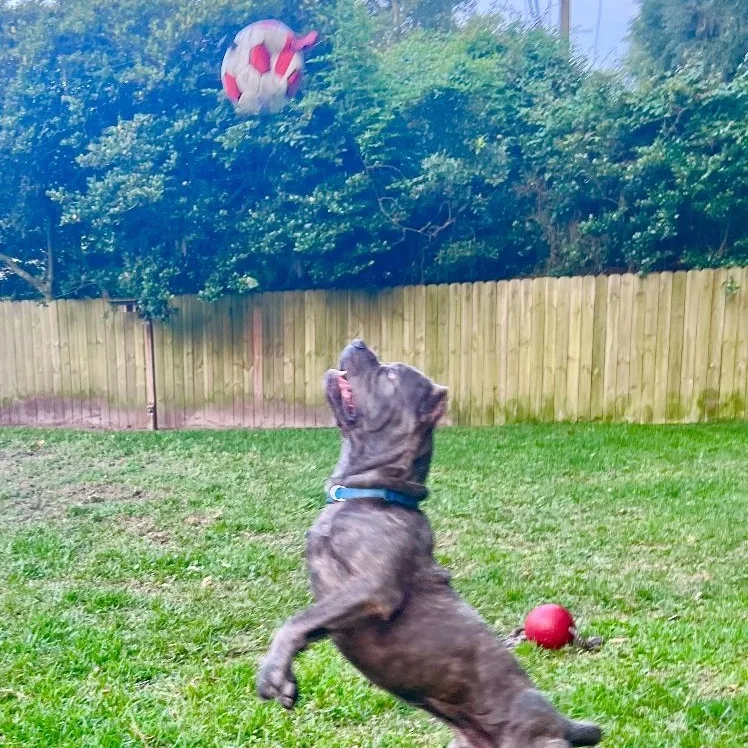 Cleveland thumbnail 6