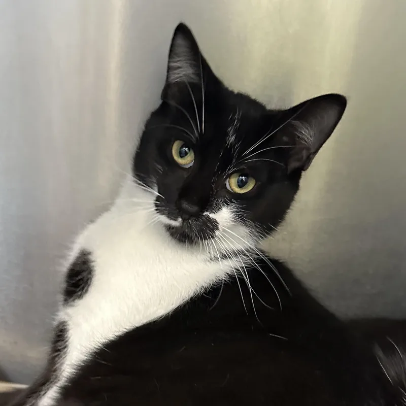 Finn & Mowgli Brothers thumbnail 3