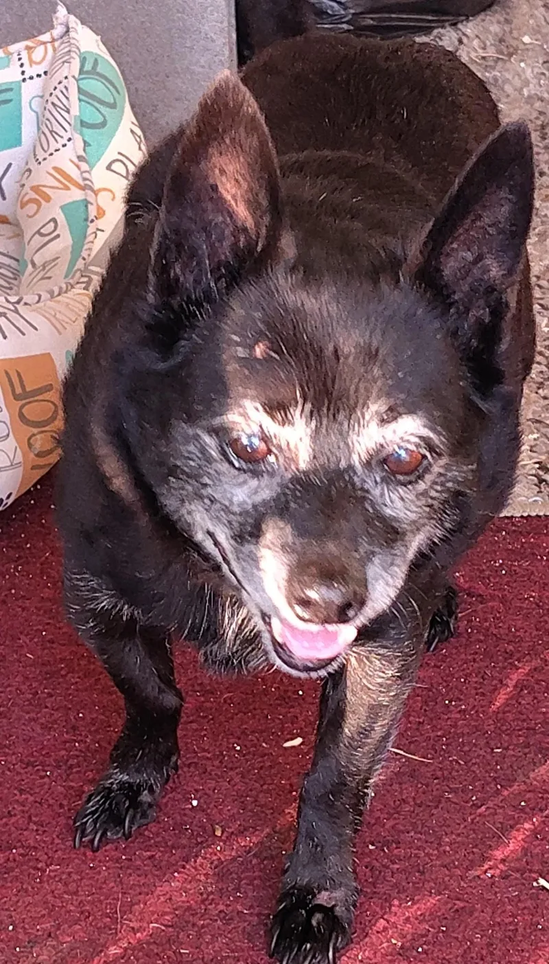 Hercules thumbnail 2