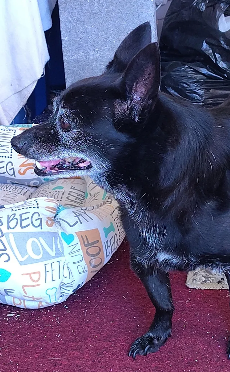 Hercules thumbnail 3