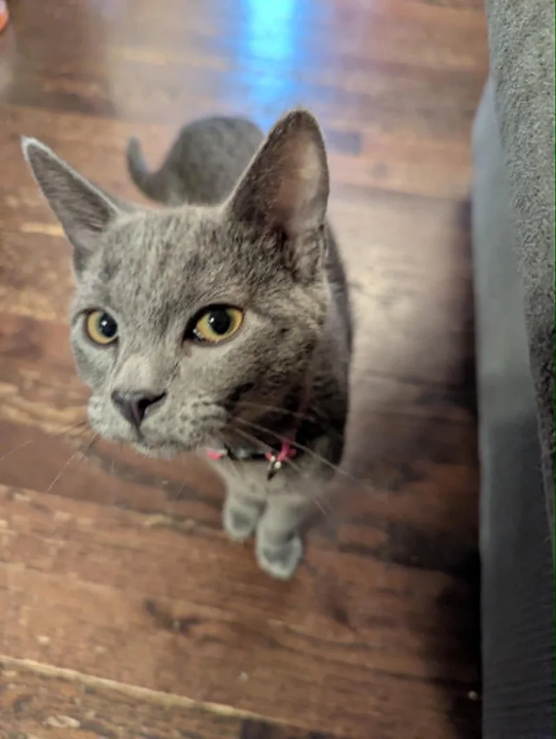 Stewart thumbnail 2