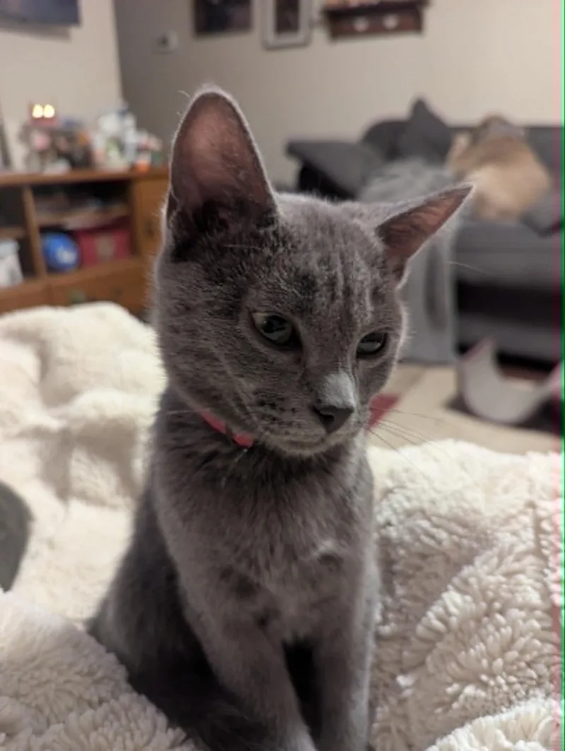 Stewart thumbnail 3