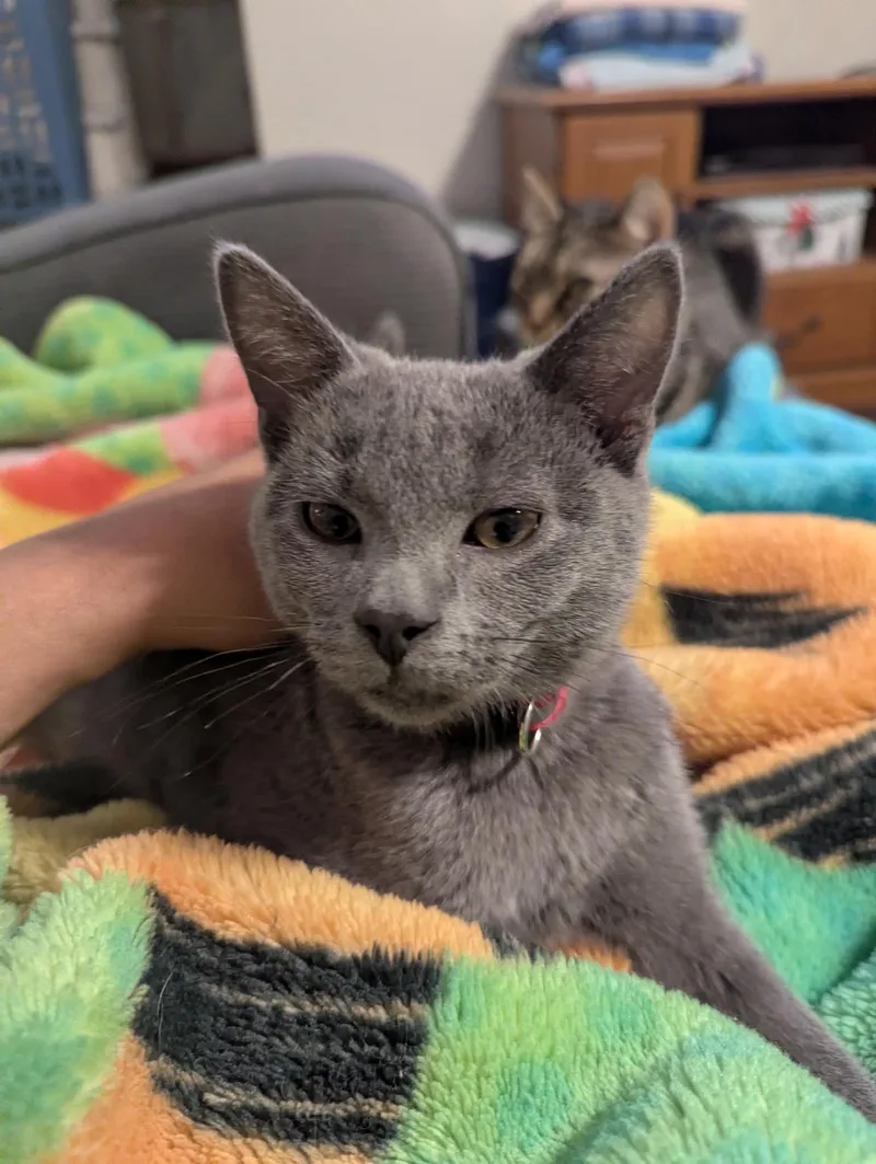 Stewart thumbnail 4
