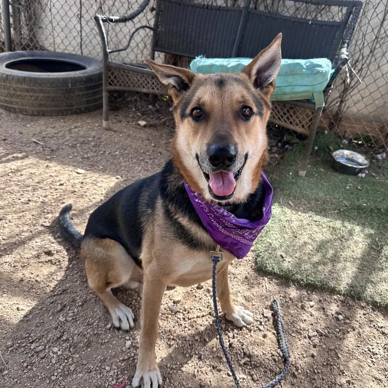 Jackson Pollock thumbnail 3