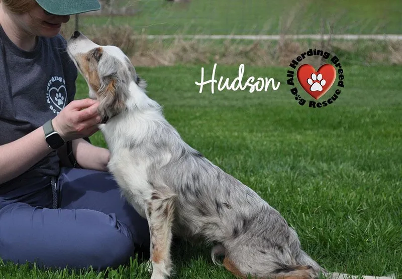 Hudson thumbnail 2