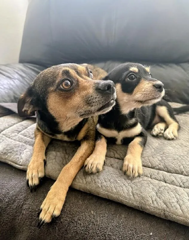 Momma Sweet Pea thumbnail 2