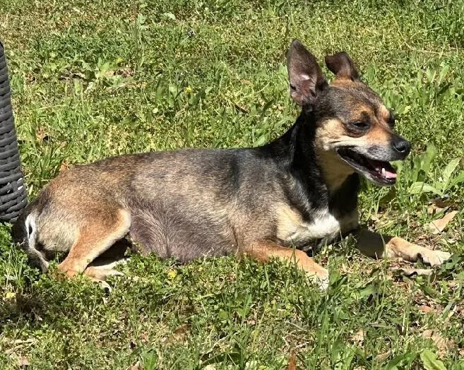 Momma Sweet Pea thumbnail 3