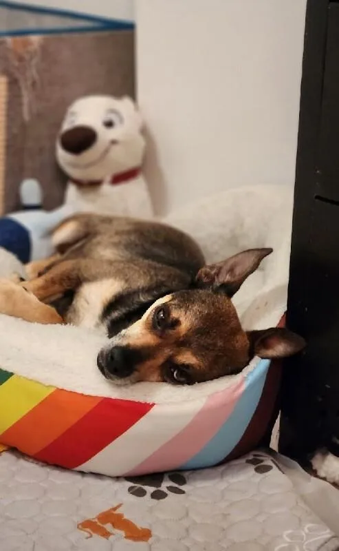 Momma Sweet Pea thumbnail 6