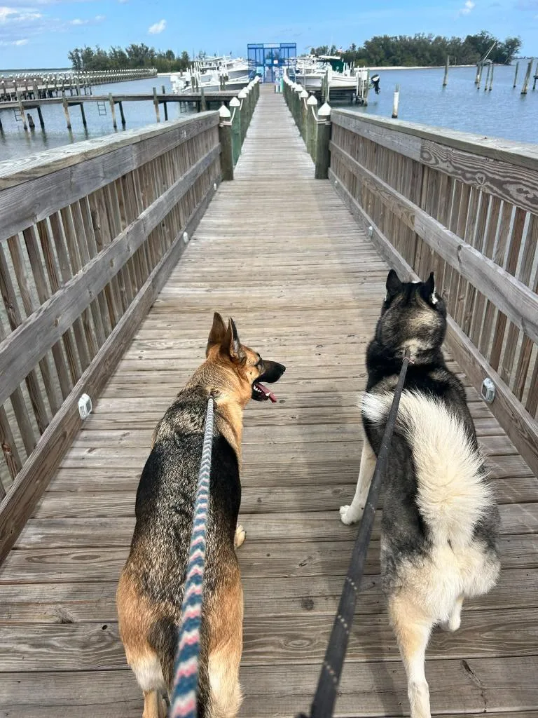 Titan  Sol thumbnail 2