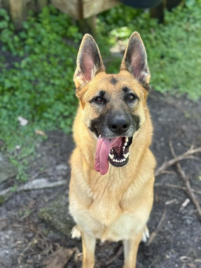 Titan  Sol thumbnail 4