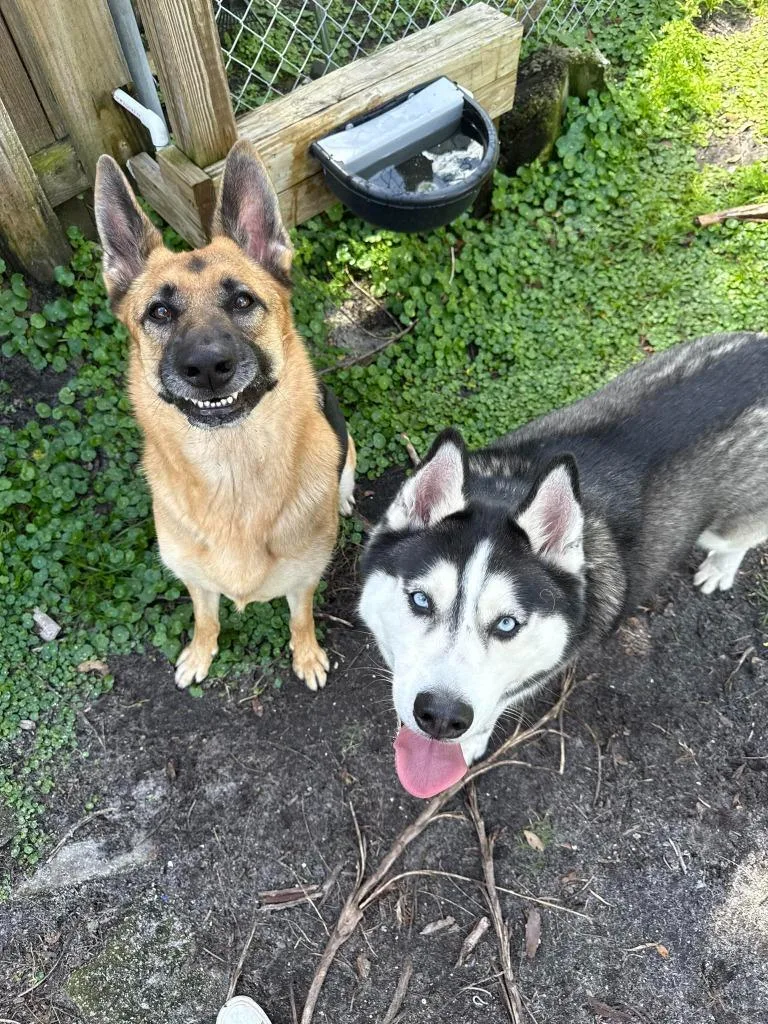 Titan  Sol thumbnail 5