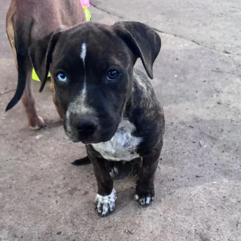 Herculesdisney thumbnail 2