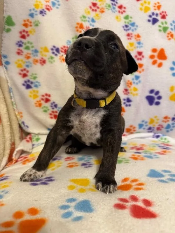 Herculesdisney thumbnail 3