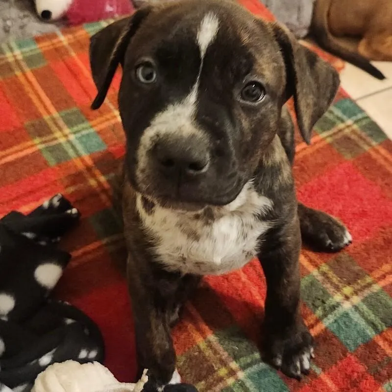 Herculesdisney thumbnail 6