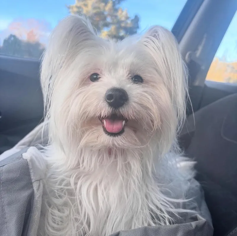 Coco