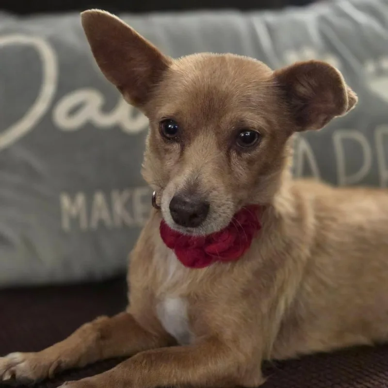 Frida D Arriving thumbnail 3