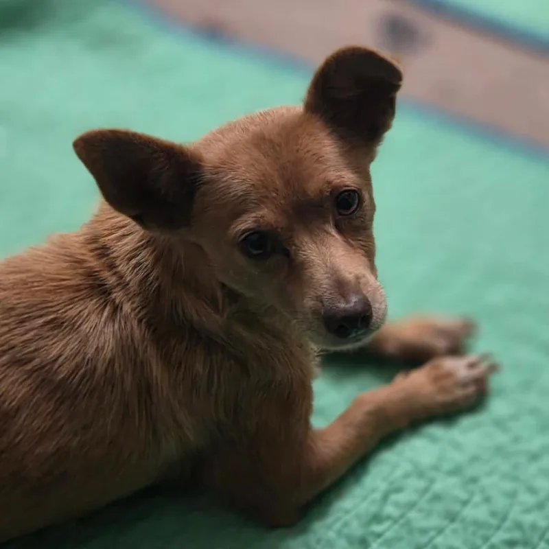 Frida D Arriving thumbnail 5