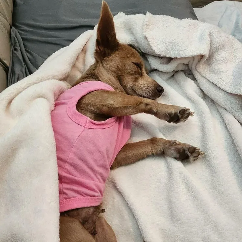 Frida D Arriving thumbnail 6