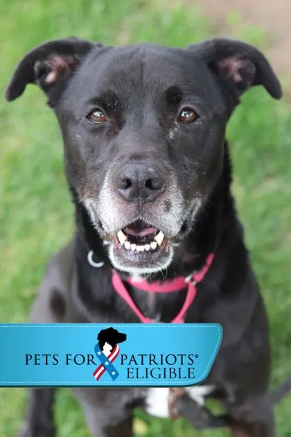 Morpheus thumbnail 5