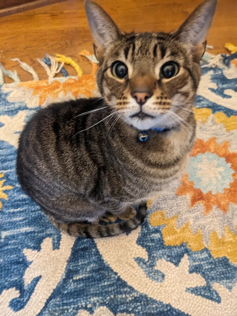 The Mountain thumbnail 2